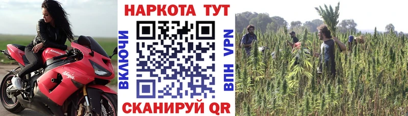  Кокаин Северодвинск