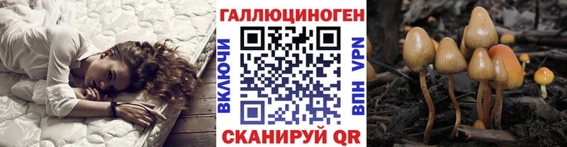маркетплейс формула  Северодвинск  Псилоцибиновые грибы Cubensis  магазин  наркотиков 