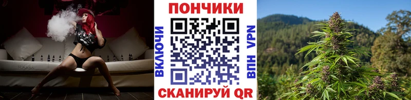 где продают наркотики  Северодвинск  гидра сайт  Конопля планчик 